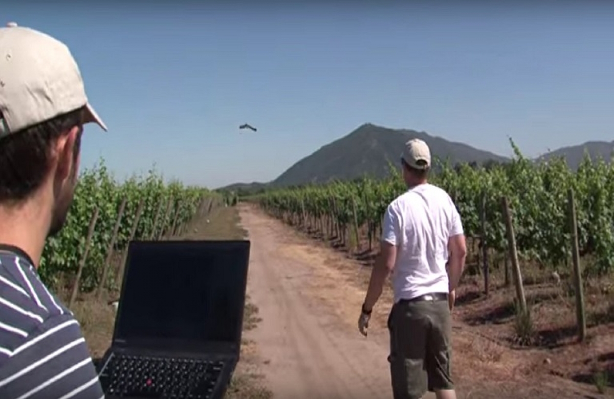 Η συμβολή των ΣμηΕΑ (drones) στην αναβάθμιση του αγροτικού τομέα