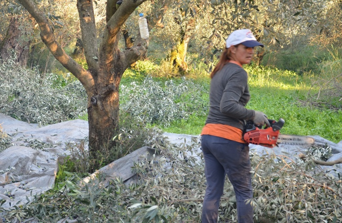 Οι δεσμεύσεις που θα αναλάβουν οι νέοι αγρότες