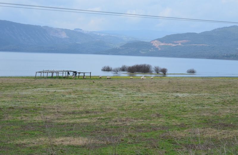 Συγκροτήθηκαν τα Κλιμάκια Ελέγχου Ποιότητας Περιβάλλοντος