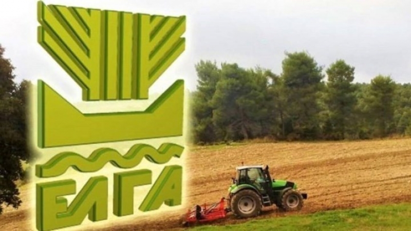 Δήμος Ξηρομέρου: Αναγγελία ζημιών από τον ΕΛΓΑ για τους πληγέντες