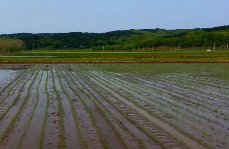 Αποζημιώσεις ύψους 67 εκατ. ευρώ