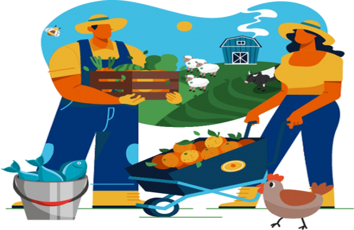 Iκανοποίηση για τις ψηφιακές υπηρεσίες του ΥπΑΑΤ