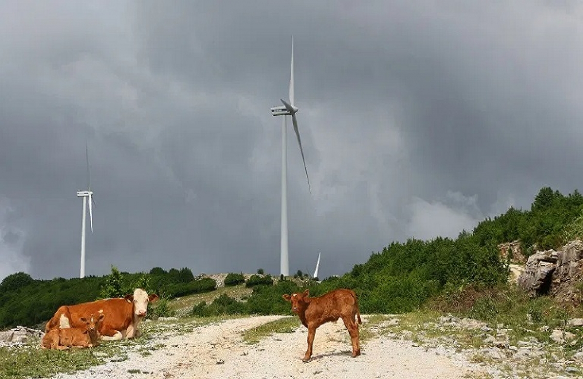 Μεγάλη οικονομική συνεισφορά των αιολικών πάρκων στους οικιακούς καταναλωτές ρεύματος