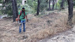 Σχεδόν 320.000 οι δηλώσεις για τους καθαρισμούς των οικοπέδων - Πάνω από 312 δήμοι έχουν χρησιμοποιήσει την πλατφόρμα