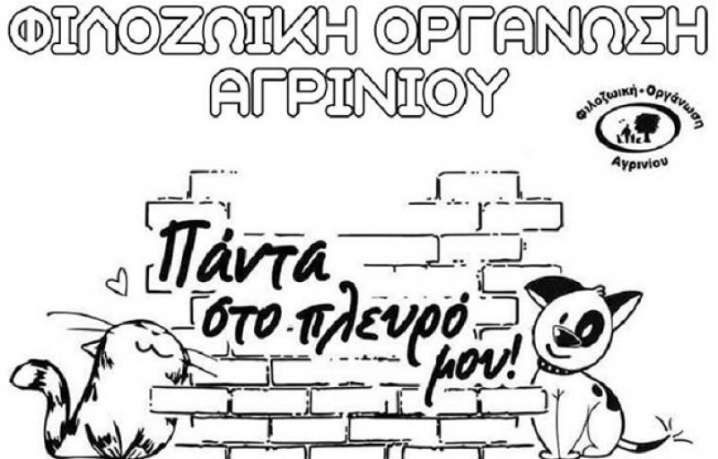 Καλοκαιρινό παζάρι από την Φιλοζωική Οργάνωση Αγρινίου (Πεμ 27 - Παρ 28/6/2019)