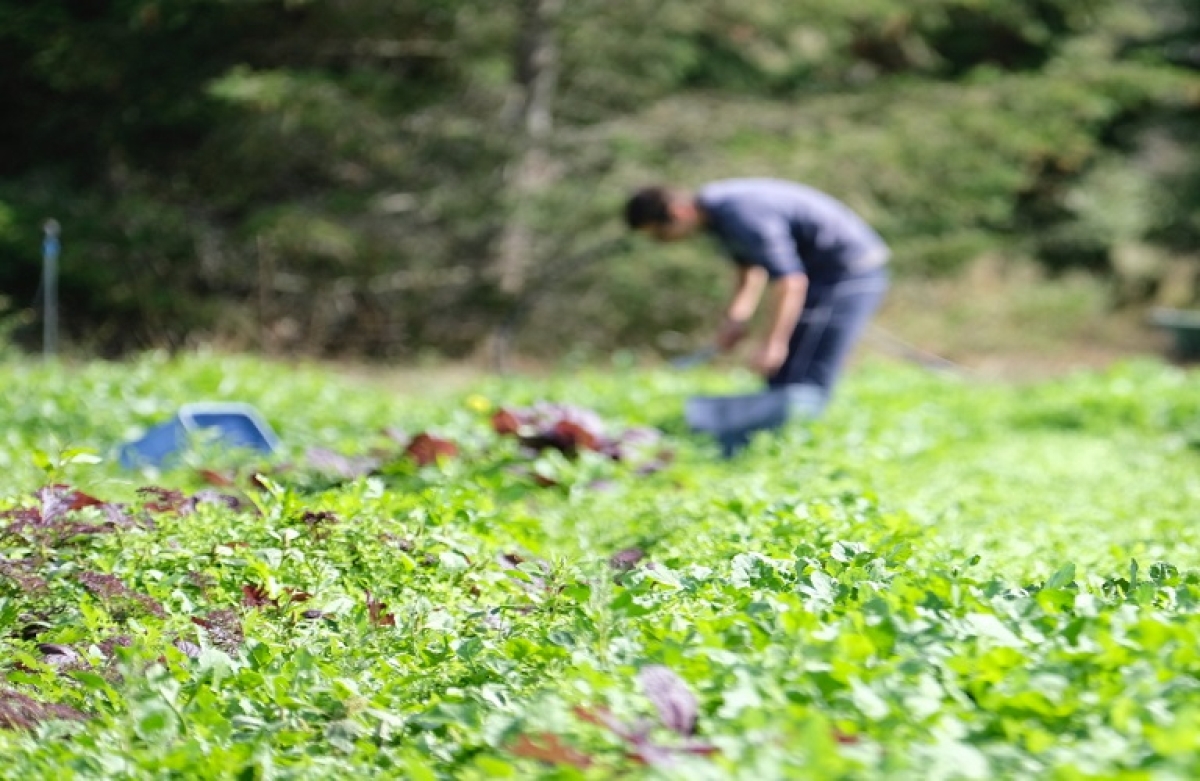 Ημερολόγιο Καλλιεργειών 2022