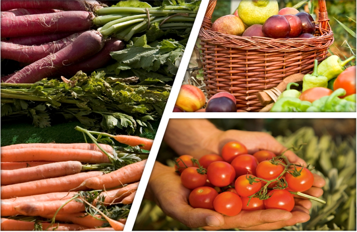 Σημαντική αύξηση στις εξαγωγές τροφίμων της ΕΕ