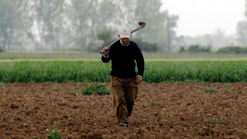 Προκηρύχθηκε το μέτρο για τη σύσταση ομάδων και ενώσεων παραγωγών
