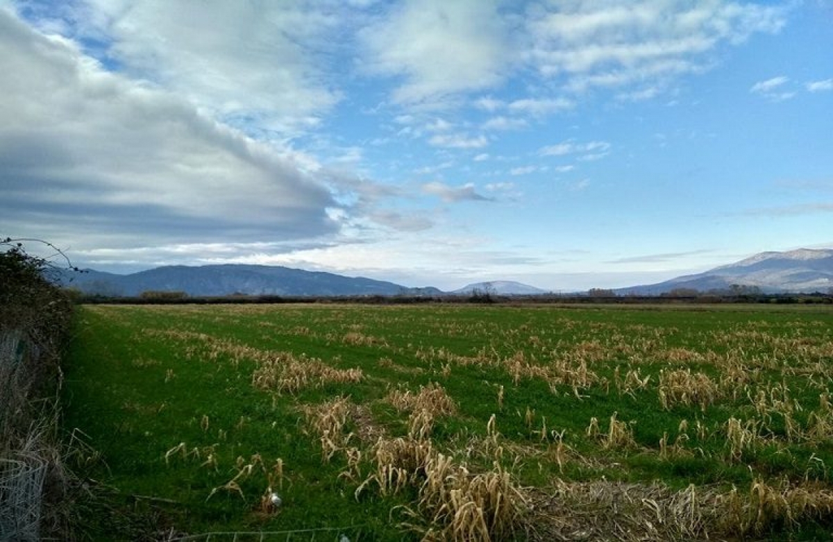 Δημοπρασία αγροτεμαχίων στο Κτήμα Νεοχωρίου