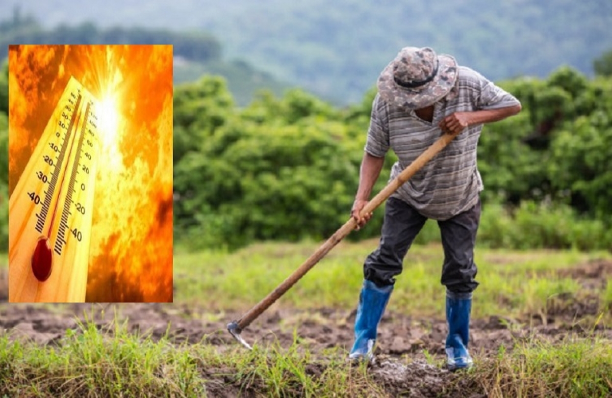 Εντάξει, πλάκα μας κάνουν!