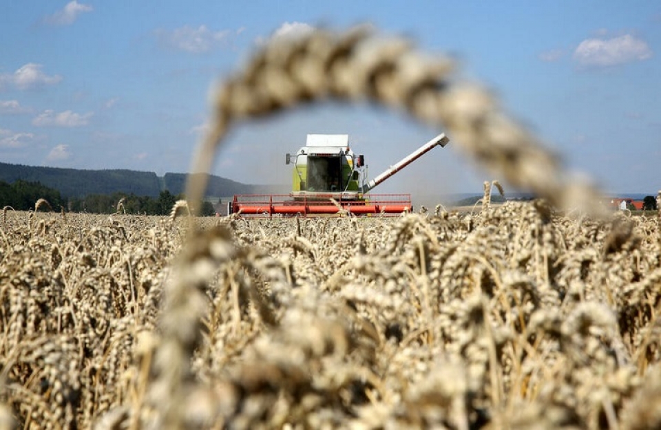 Αύξηση του παγκόσμιου δείκτη τιμών τροφίμων