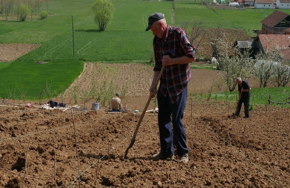 Ρύθμιση συνταξιοδοτικών εκκρεμοτήτων ασφαλισμένων του πρώην ΟΓΑ