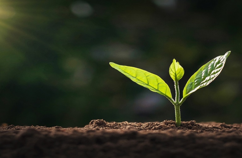 Άνω των 5 δισ. ευρώ οι πόροι για την απολιγνιτοποίηση