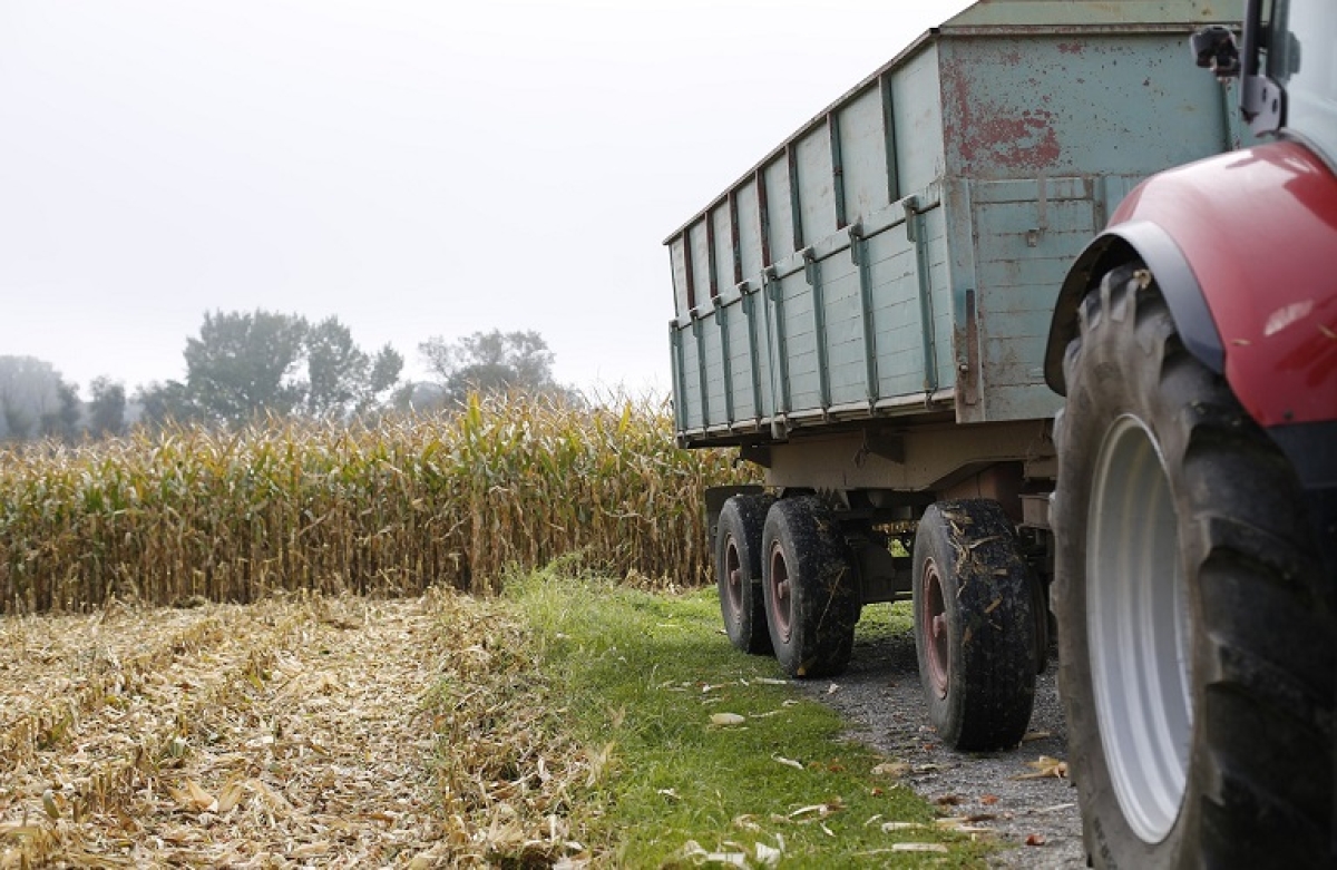 Απαλλάσσονται από το τέλος επιτηδεύματος αγρότες και αλιείς και για το 2023