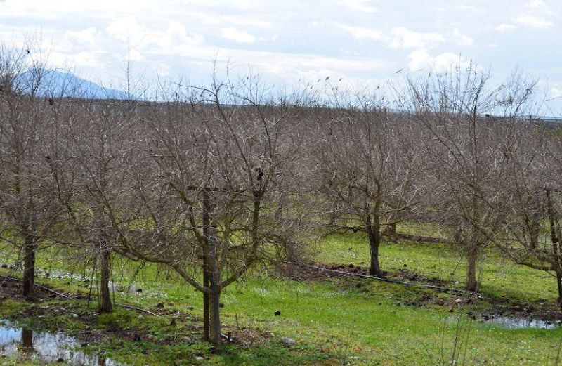 4,79 εκ. ευρώ για νέους αγρότες και άλλα προγράμματα