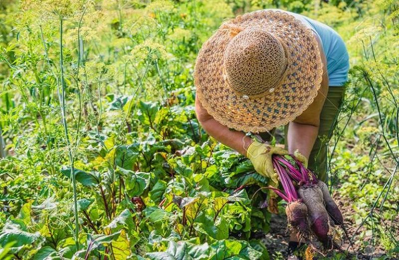 Πληρωμές 8,1 εκατ. ευρώ
