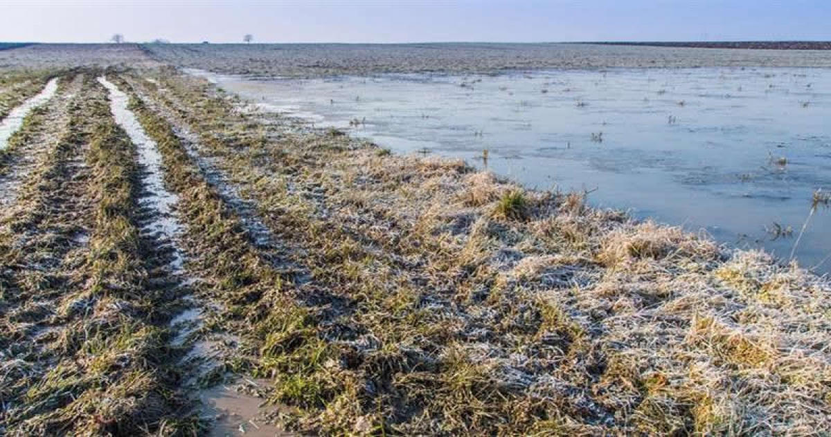 Παρατείνονται οι ΚΟΕ για την κάλυψη ζημιών σε γεωργούς και κτηνοτρόφους και για το 2021, με απόφαση Λιβανού - Σκυλακάκη