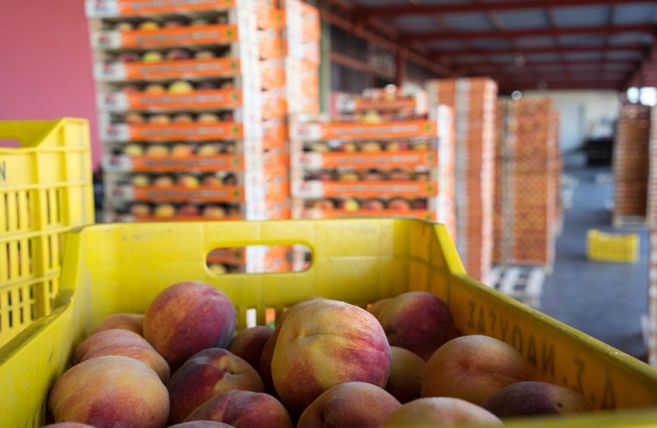 Ανθεκτικό το παγκόσμιο εμπόριο τροφίμων