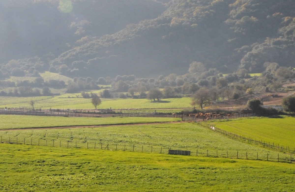 Πολλαπλή Συμμόρφωση: οδηγός υποχρεώσεων για τους παραγωγούς