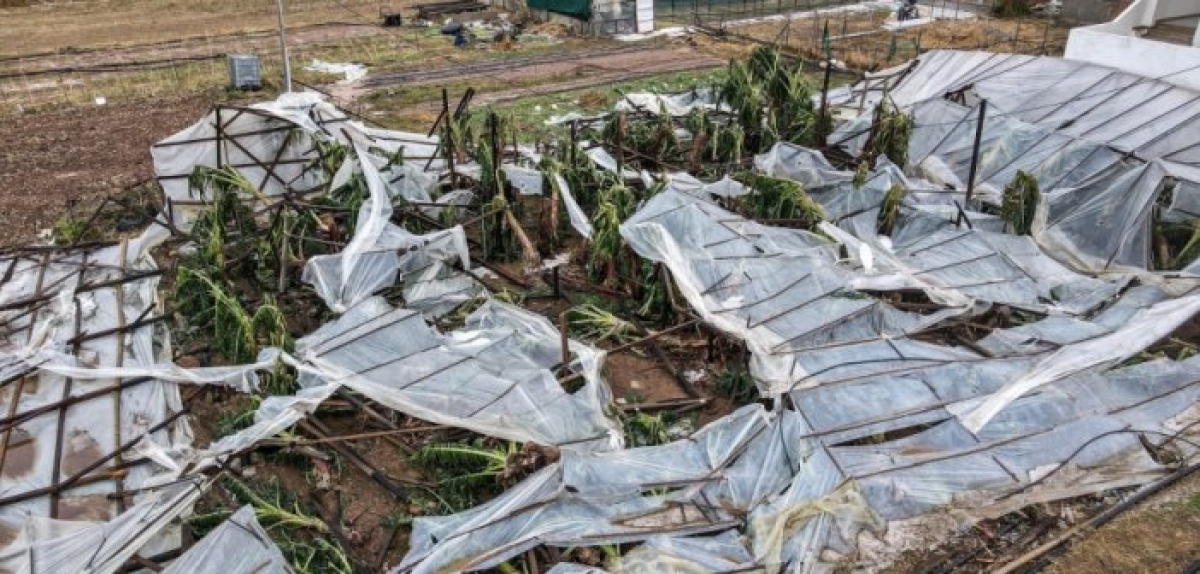 Πιο γρήγορα οι αποζημιώσεις από τον ΕΛΓΑ, ψηφιακά οι καταγραφές των ζημιών