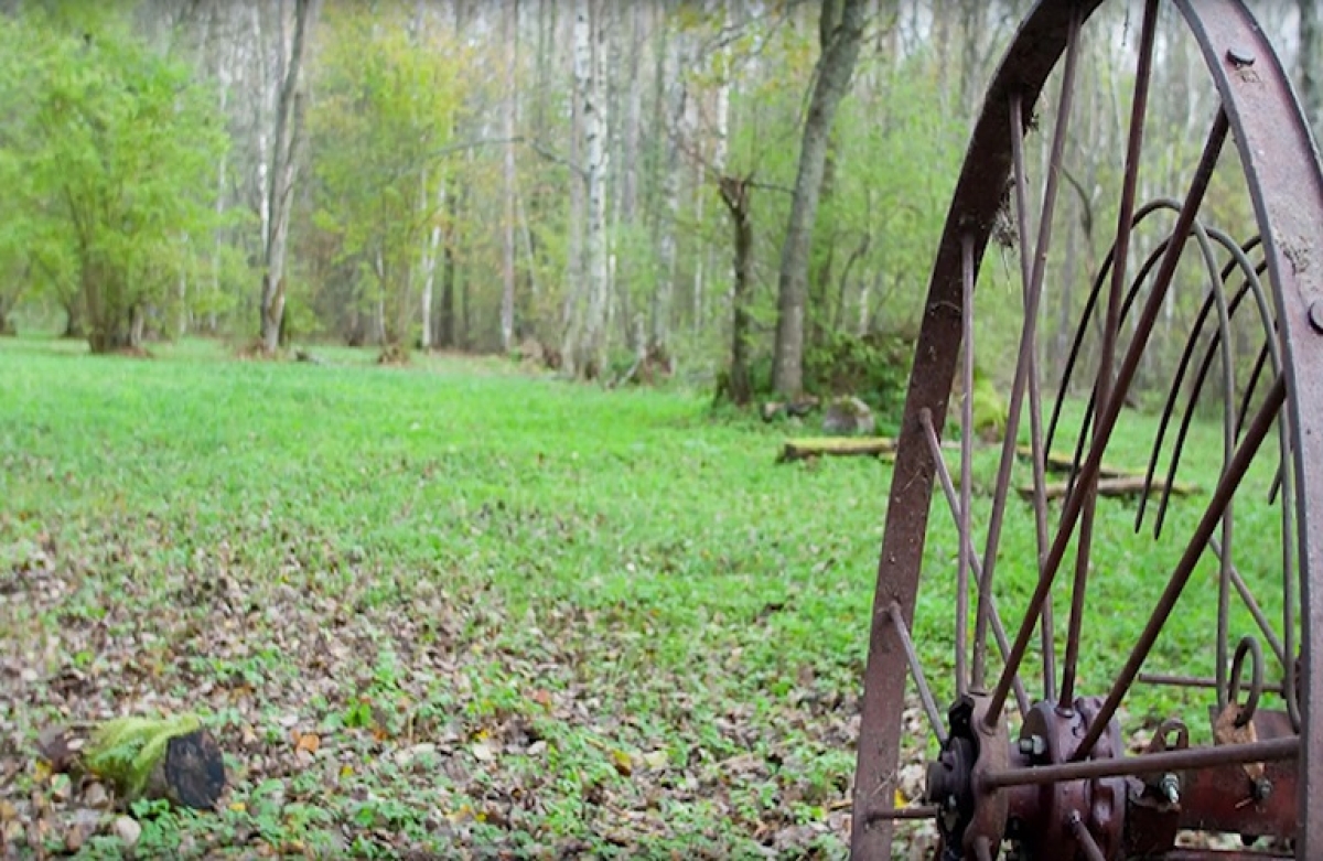 Συνεδριάζει στις 21/2 το Συμβούλιο Γεωργίας