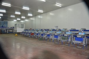 Αγγελία για εποχικό προσωπικό για το συσκευαστήριο σπαραγγιών