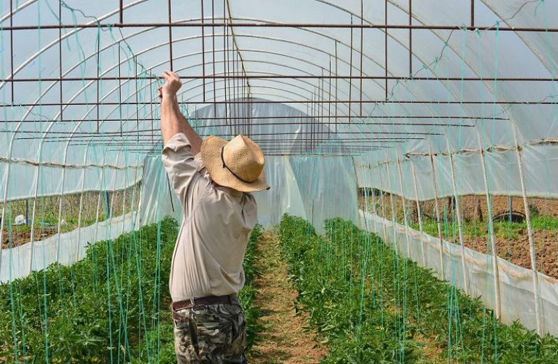 Παράταση για τους Γεωργικούς Συμβούλους