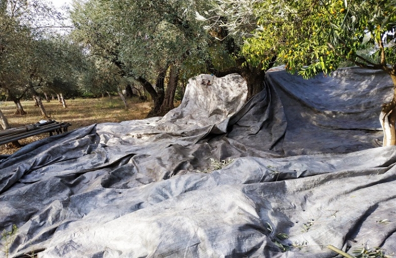 Μετακλητοί: το ουσιαστικό πρόβλημα