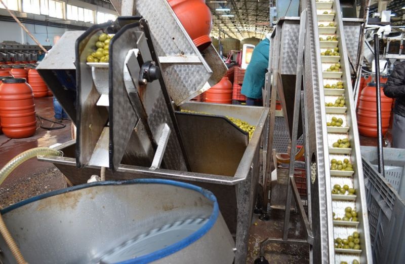 Ολοκληρώθηκε το πληροφοριακό σύστημα iAGRO