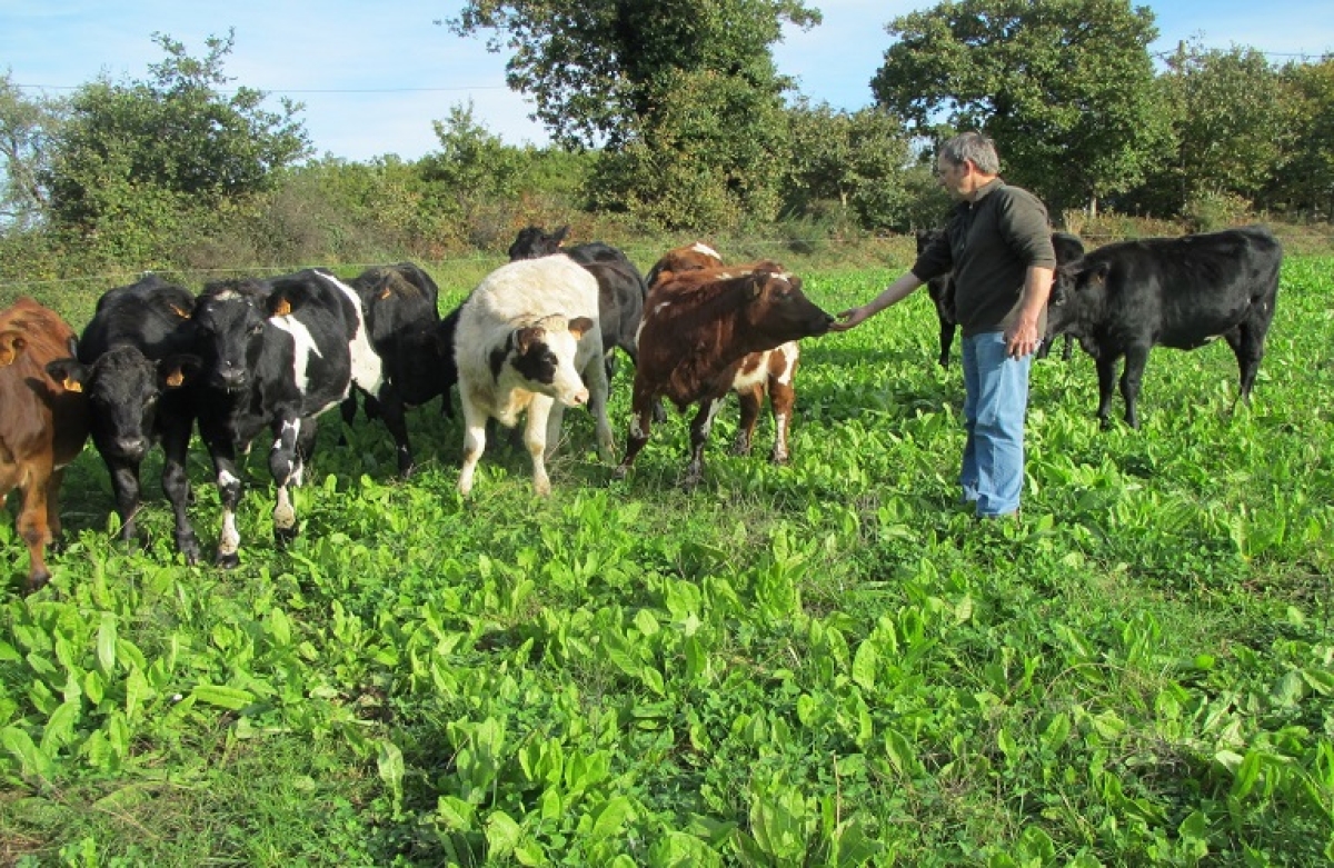 Από 1η Ιουνίου η μείωση εισφορών επικουρικής ασφάλισης