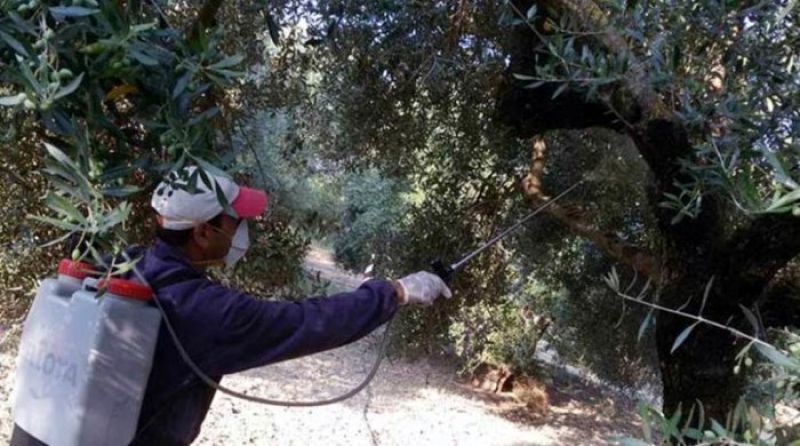 800 νέες προσλήψεις σε 12 Περιφέρειες για τα προγράμματα δακοκτονίας