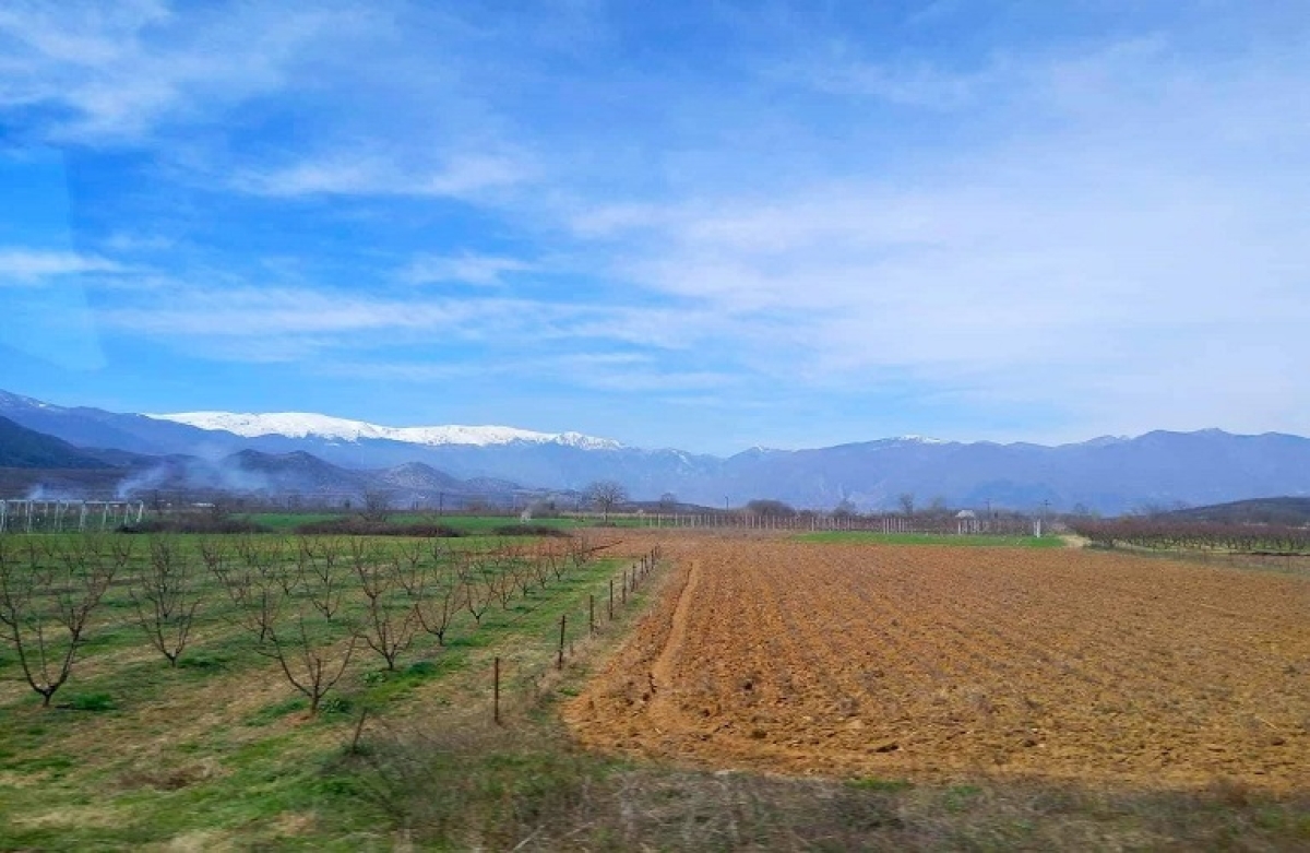 ΟΠΕΚΕΠΕ: Έλεγχοι για την πρώτη δάσωση γεωργικών γαιών