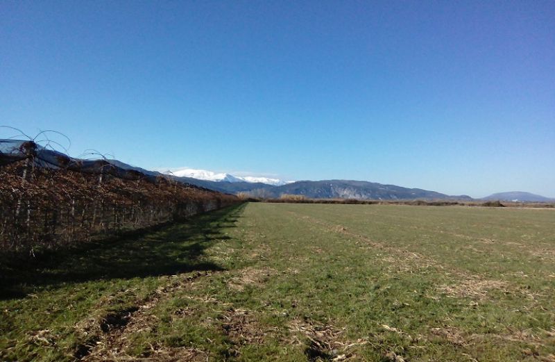 Covid-19, περιβάλλον και κτηνοτροφία