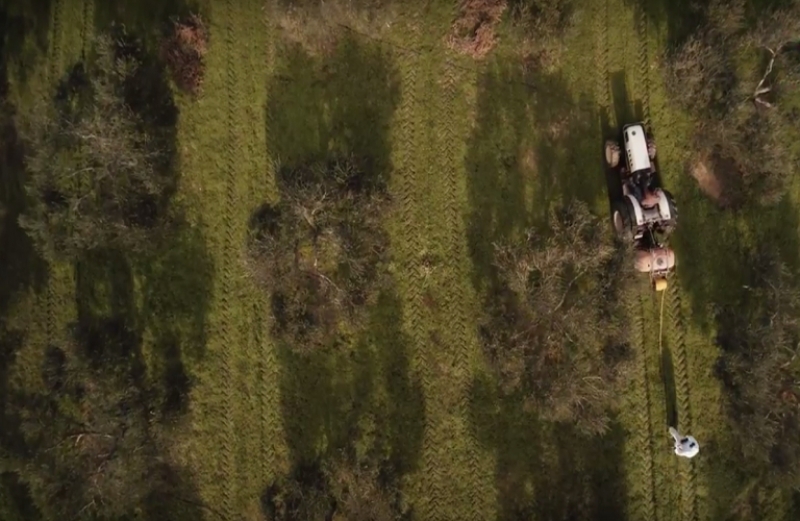 Στο 2% η εισφορά δακοκτονίας