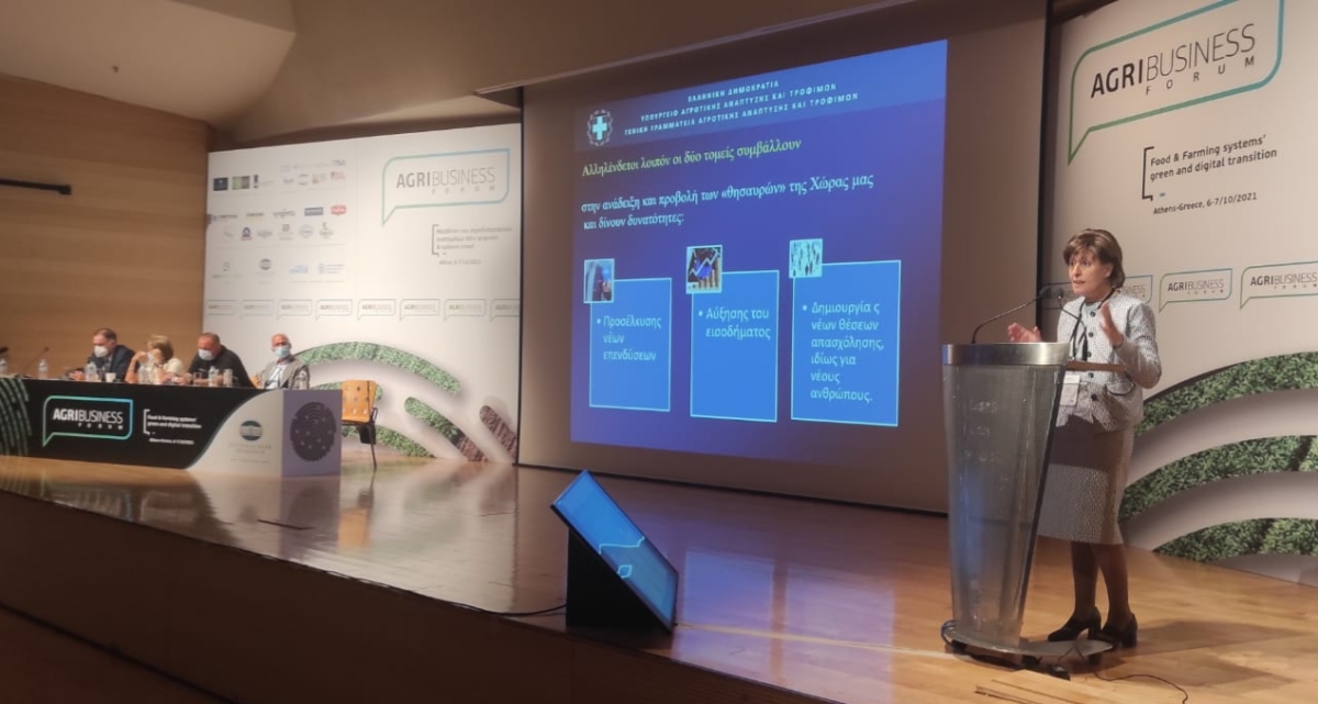 Χρ. Καλογήρου: Η Εθνική Στρατηγική του ΥΠΑΑΤ με αιχμή την καινοτομία οδηγεί σε οικονομικά οφέλη και κοινωνική ευημερία