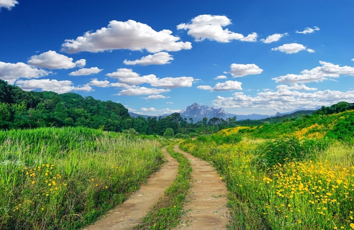 Συνεδριάζει στις 21 Νοεμβρίου το Συμβούλιο Γεωργίας και Αλιείας