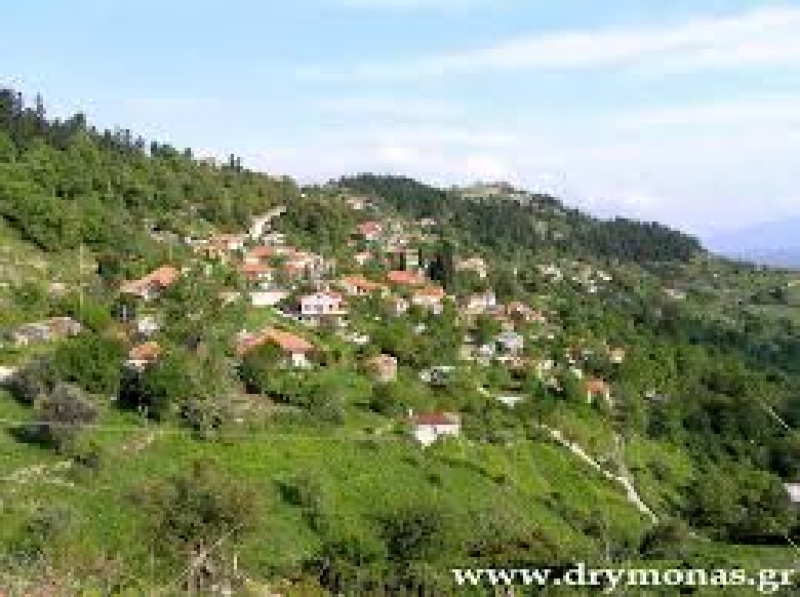 Αστροβραδιά στον Δρυμώνα Τριχωνίδας