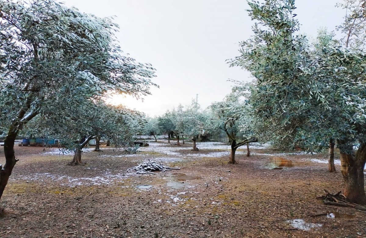 Προσοχή στον παγετό