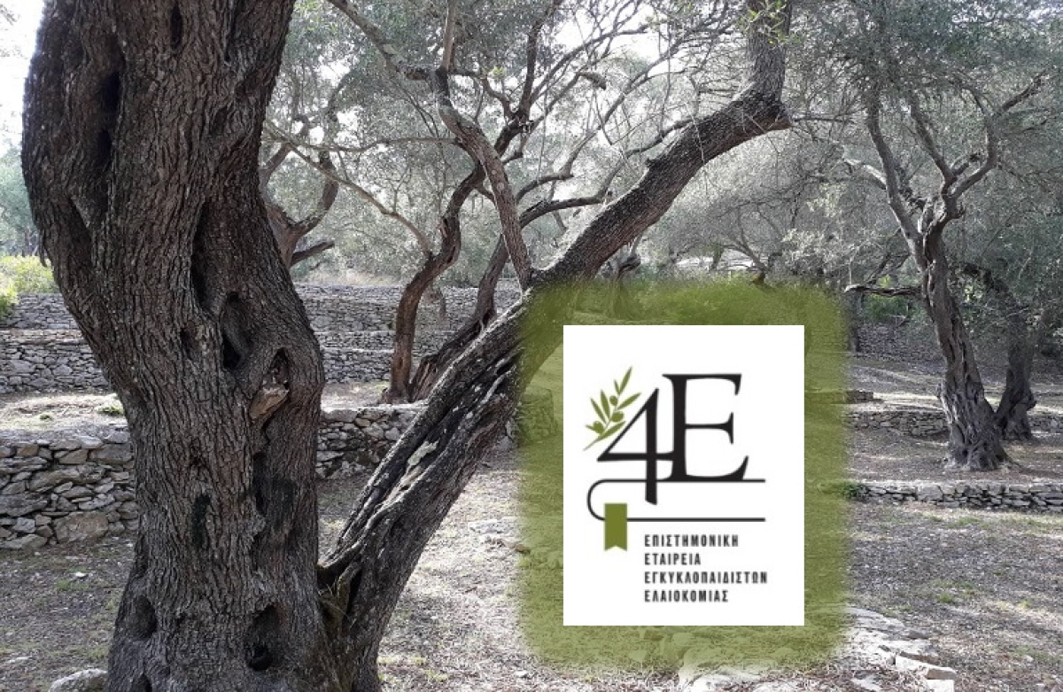 Συναίνεση για τη χάραξη εθνικής ελαιοκομικής στρατηγικής ήταν το μήνυμα της ΓΣ της Επιστημονικής Εταιρείας Εγκυκλοπαιδιστών Ελαιοκομίας (4Ε)