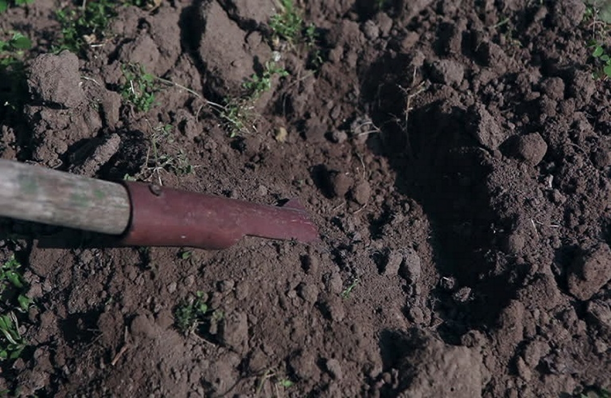 Δέκα πολύπλευρες δράσεις για αγρότες-παραγωγούς και πυρόπληκτους στην Περιφέρεια Δ.Ε.