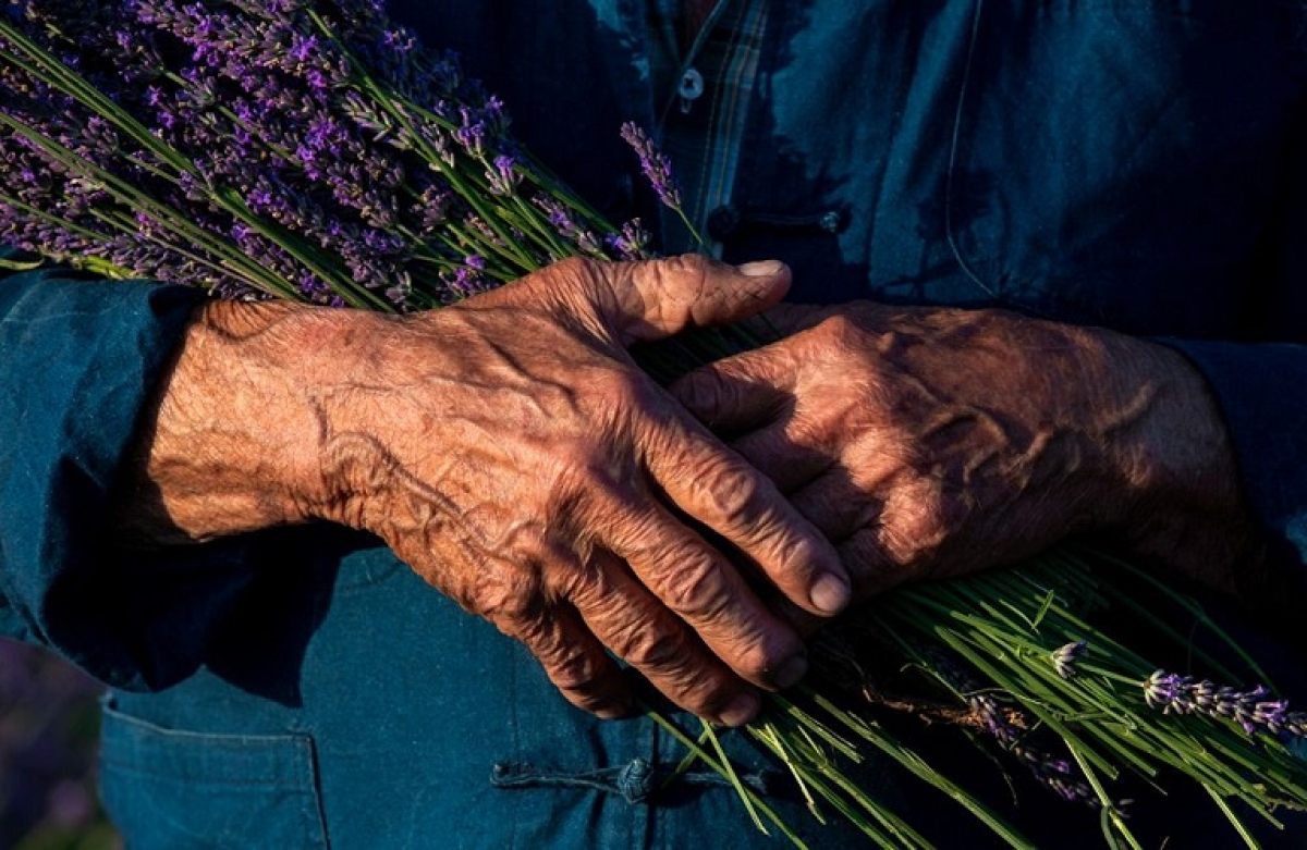 Όλα καλά, όλα ανθηρά!