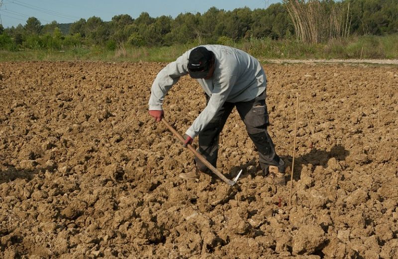 Και οι μη ληξιπρόθεσμες οφειλές στη ρύθμιση των 120 δόσεων