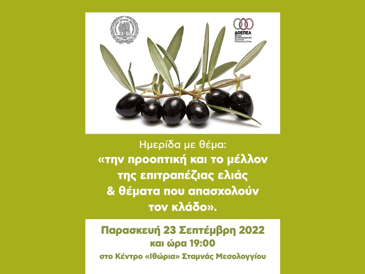 Την Παρασκευή η Ημερίδα για την ελιά στη Σταμνά / Το πρόγραμμα