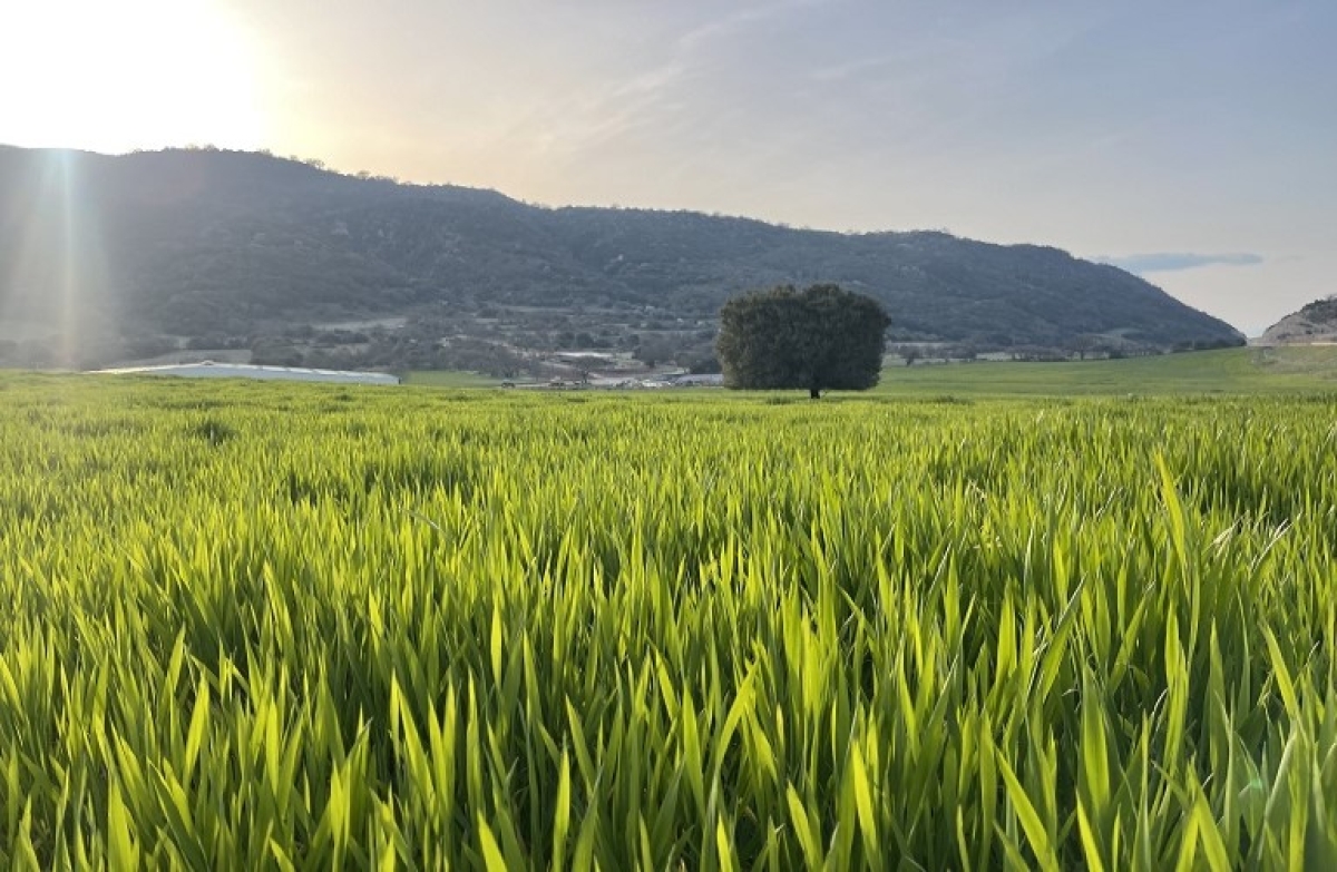 Συμβουλευτικές υπηρεσίες και εκπαίδευση, για να αλλάξει η γεωργία