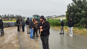 Κύπρος: Κτηνοτρόφοι μαζεύτηκαν στην Ορόκλινη για να αποτρέψουν θανατώσεις ζώων