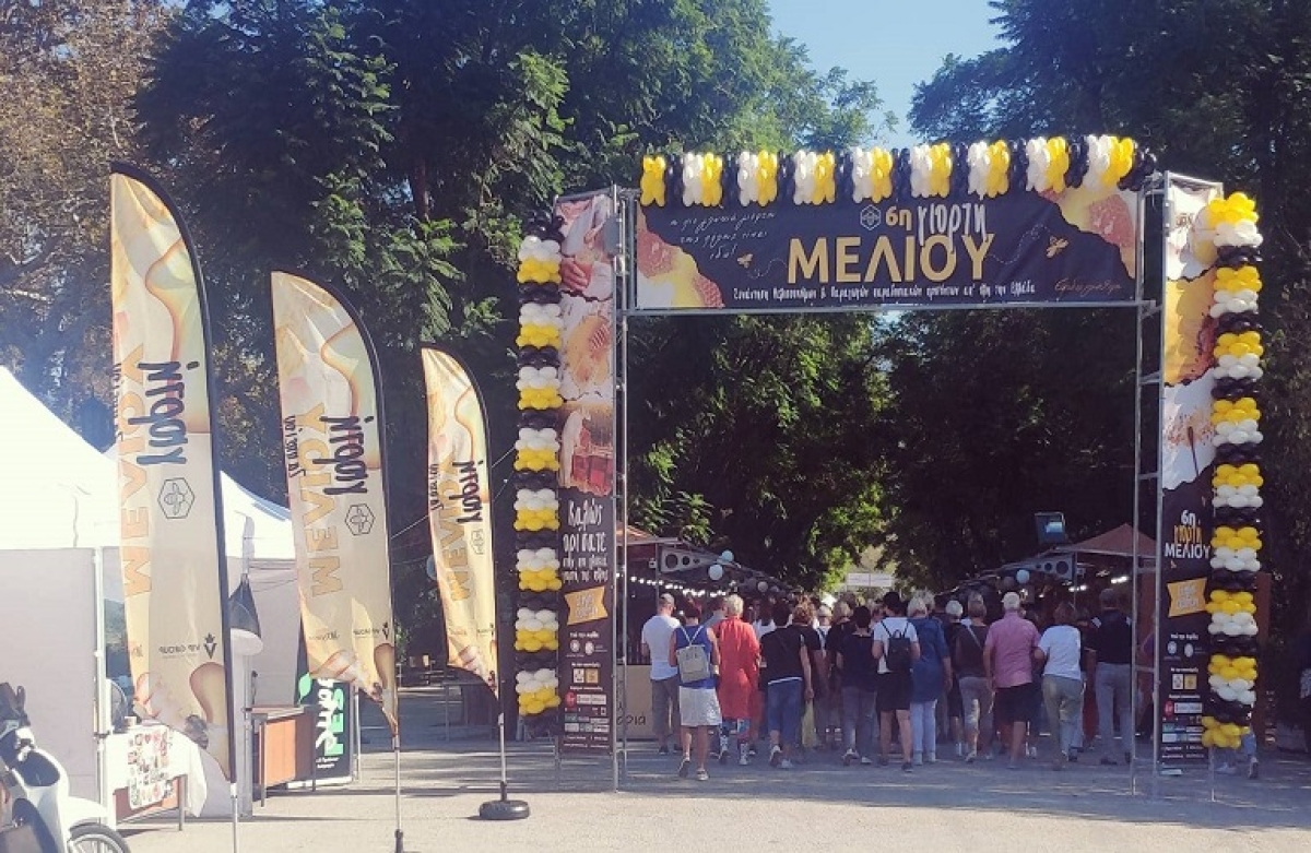 Μεγάλη συμμετοχή στην 6η Γιορτή Μελιού