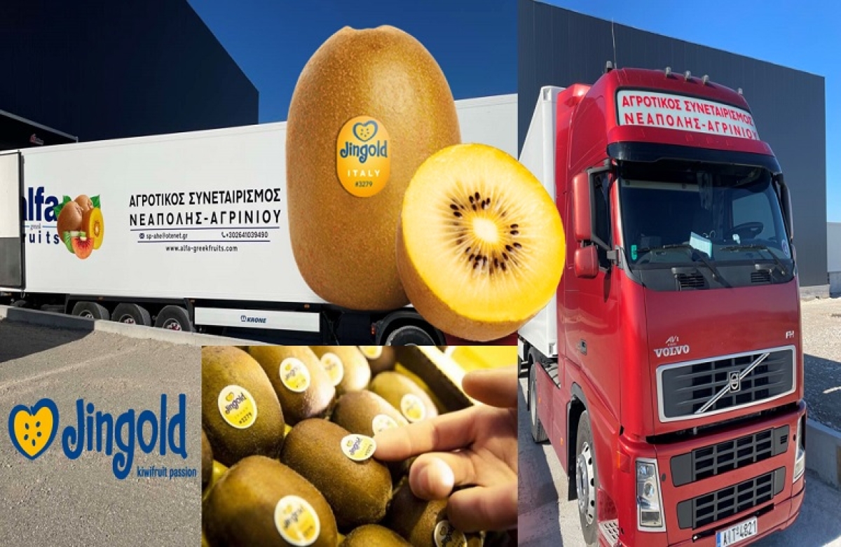 Το κίτρινο ακτινίδιο έρχεται να κάνει τη διαφορά