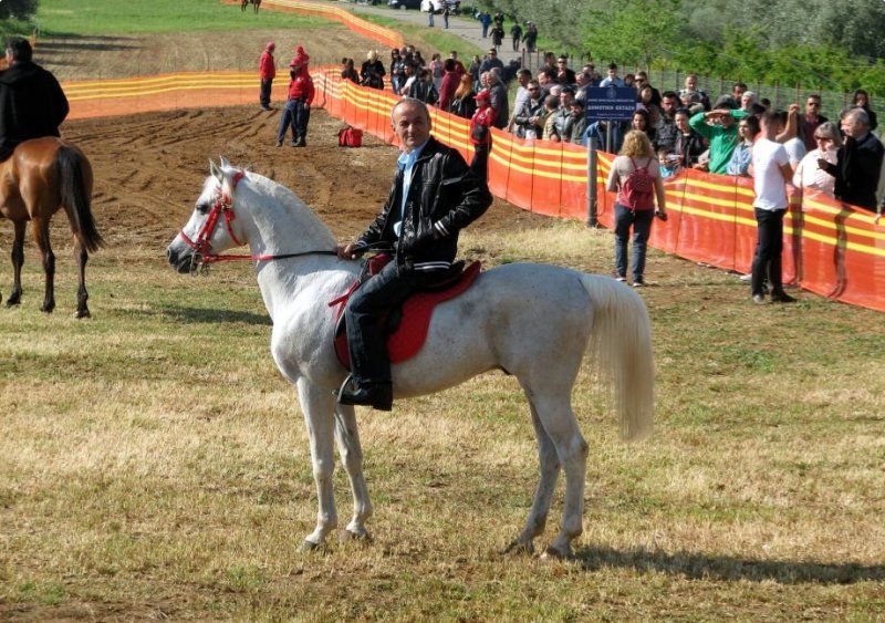 Το έθιμο με τις ιπποδρομίες στο εξωκλήσι του Αγίου Γεωργίου στο Ευηνοχώρι