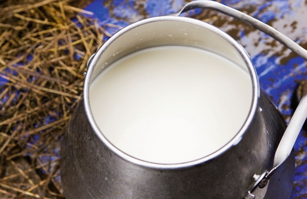 iMilk-ELGO: η εφαρμογή που κάνει το γάλα....καθαρό!