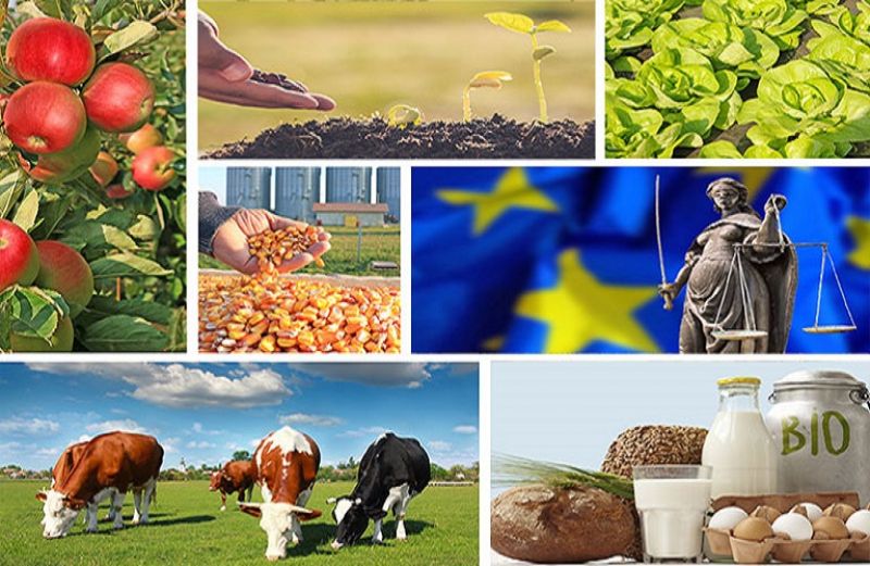 Ιστορικό ρεκόρ εξωστρέφειας το 2017